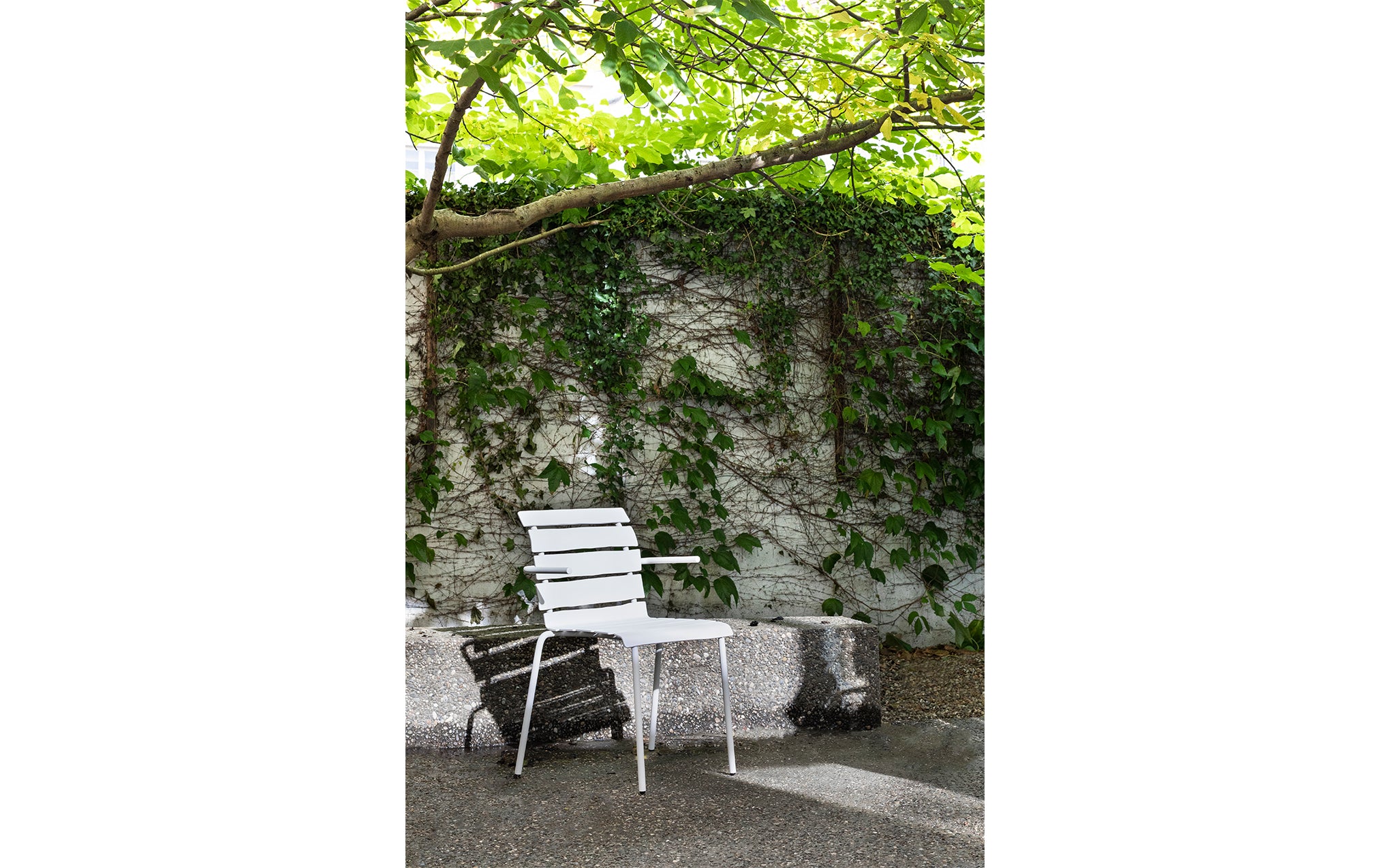 Aligned dining armchair - Image 7