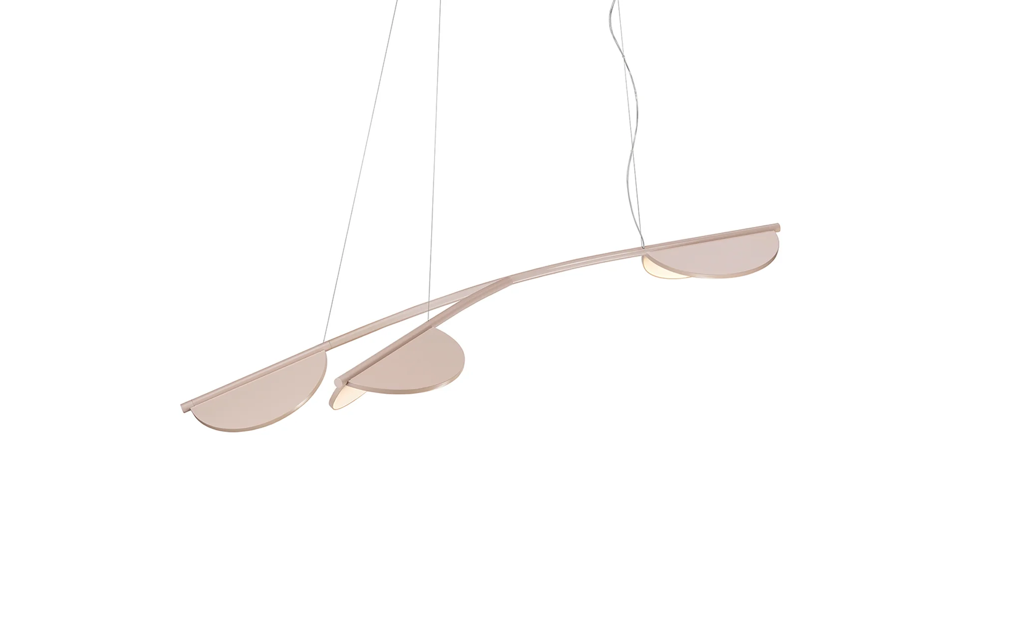 Almendra Organic - Image 5