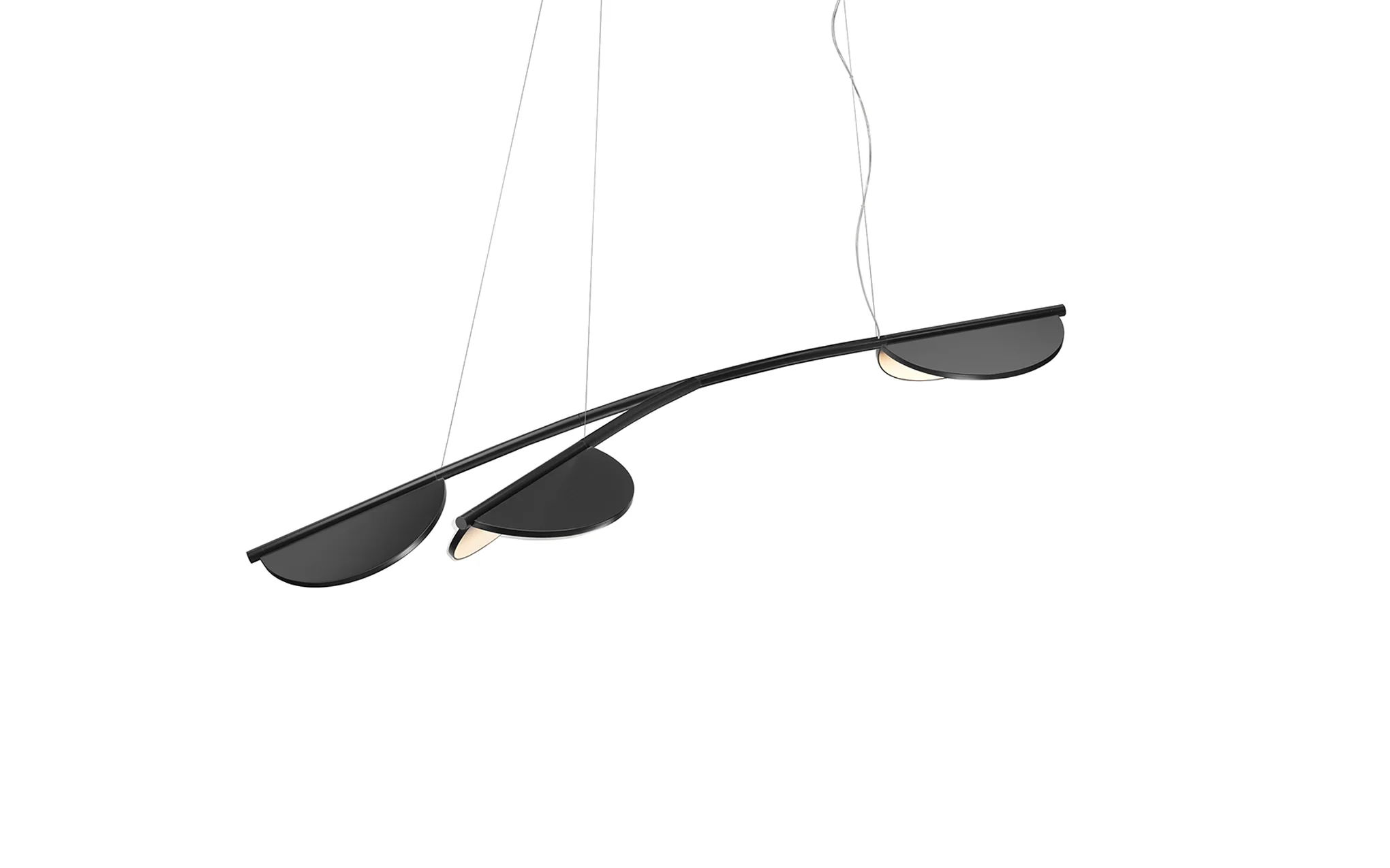 Almendra Organic - Image 8