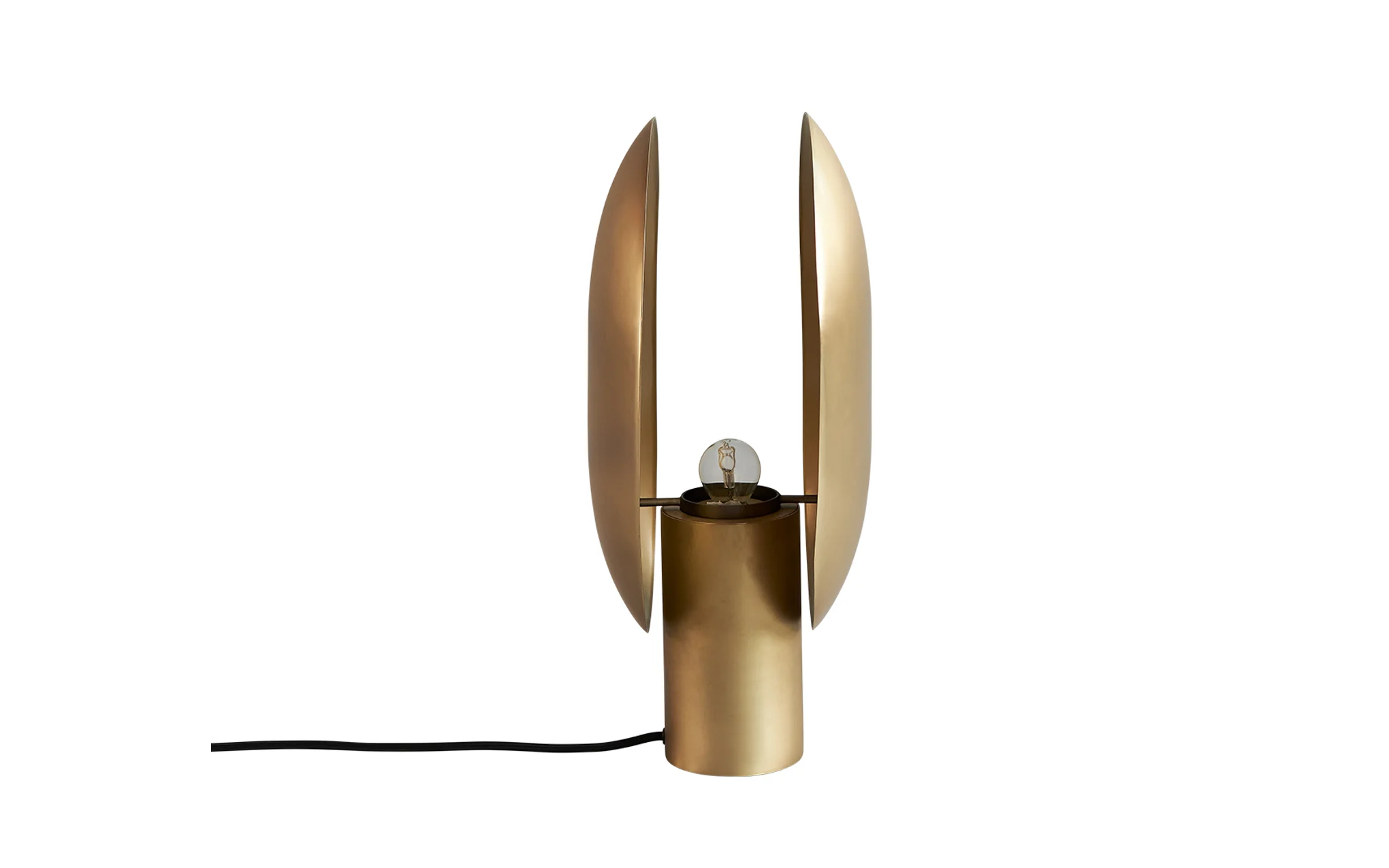 Clam table lamp - Image 2