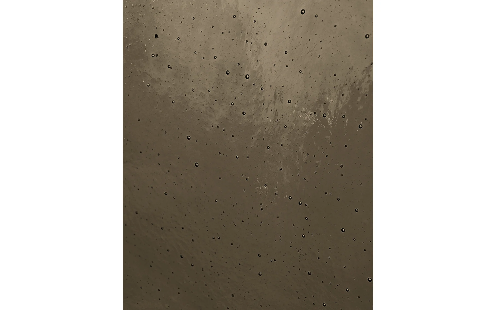Palm single sconce - Image 14
