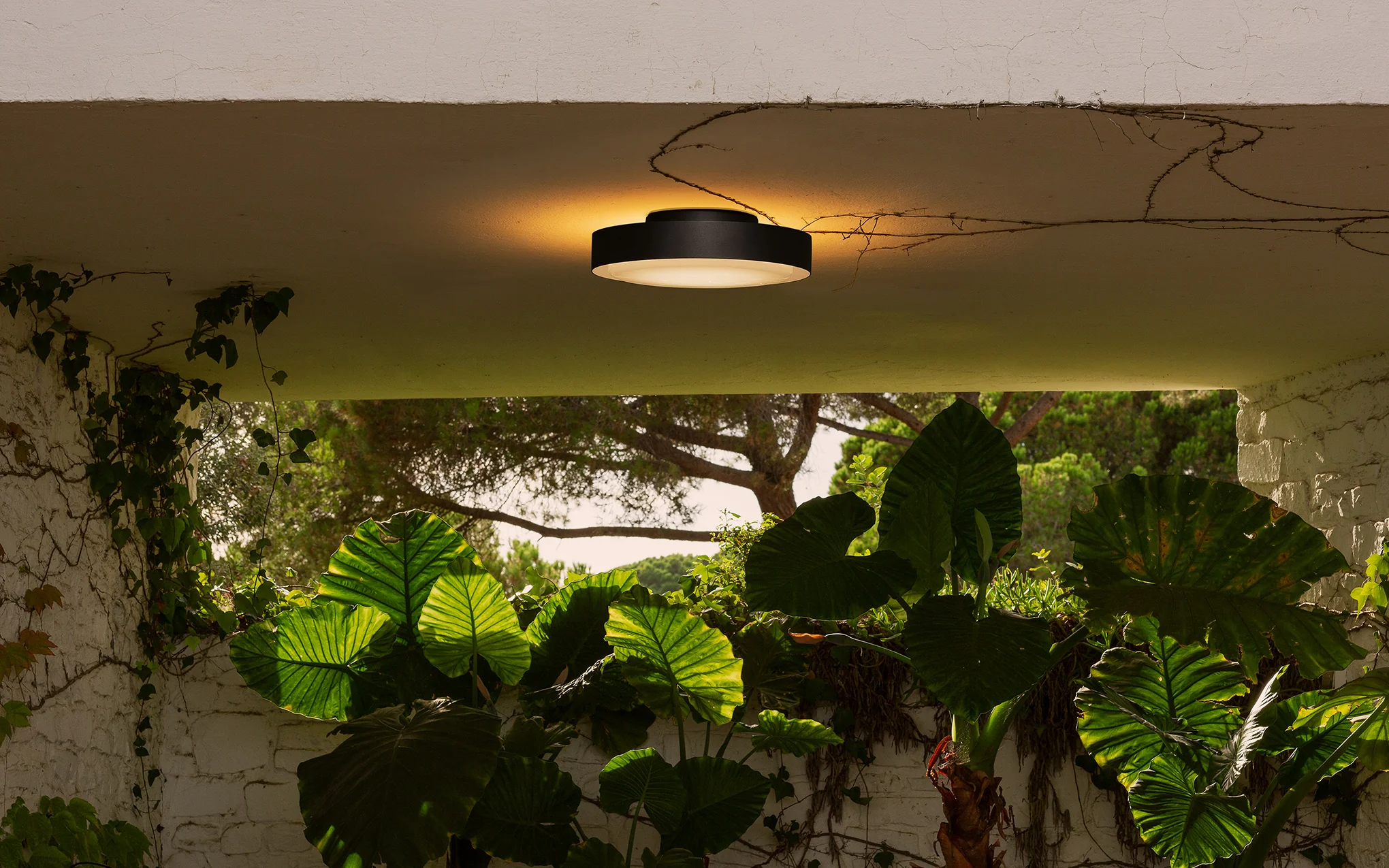 Plaff-On! wall/ ceiling light - Image 4